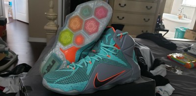 nike lebron x11 nsrl